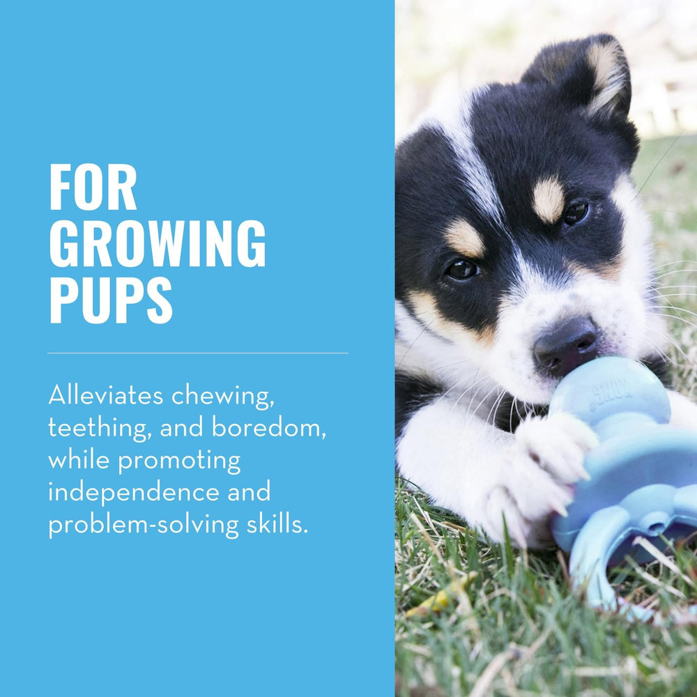 KONG Puppy Binkie, foco masticable, para cachorros.