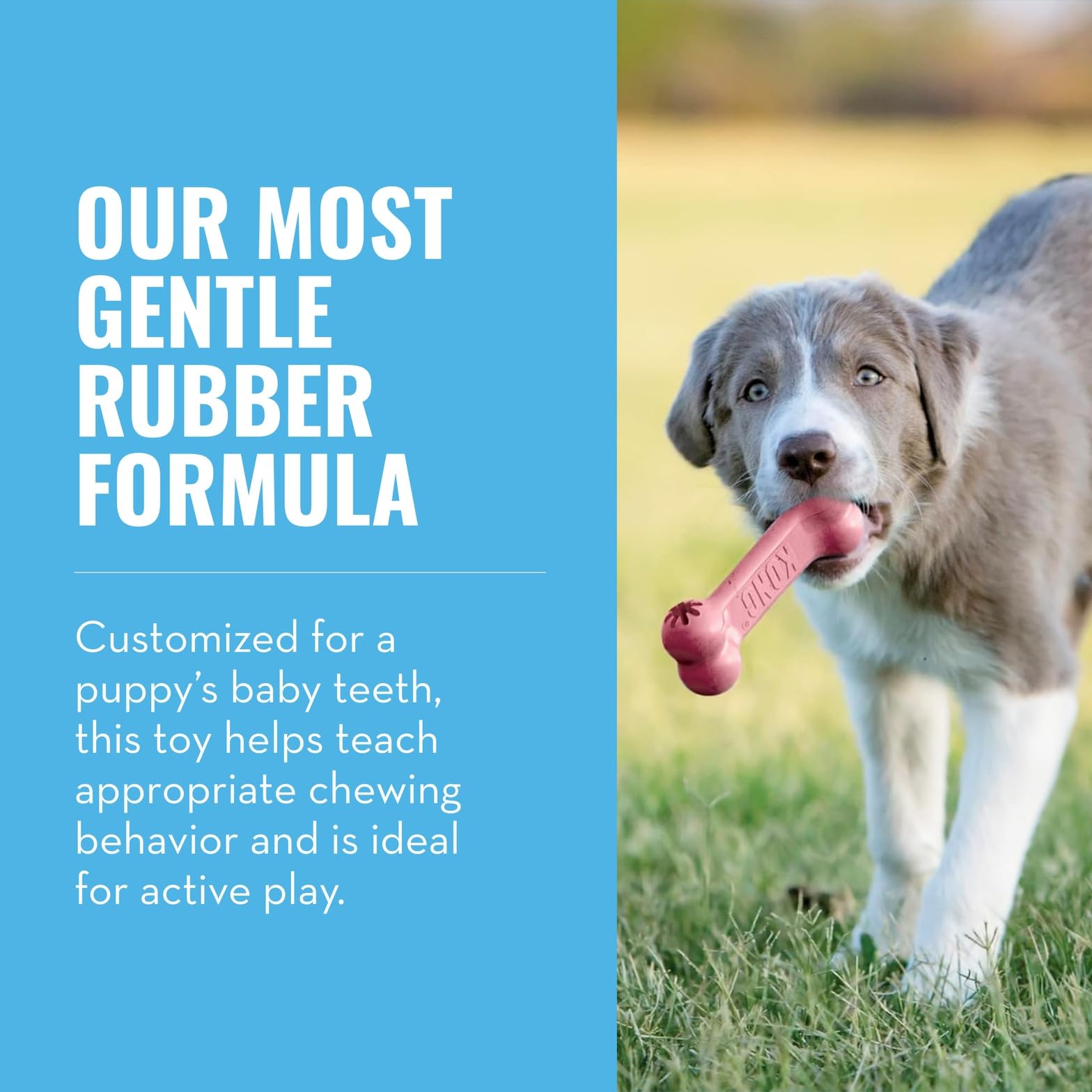 KONG Puppy Goodie Bone: diseño para cachorros pequeños con mordida suave.