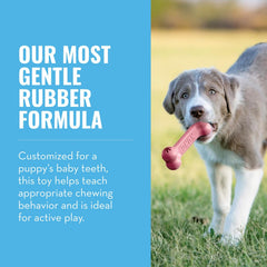 KONG Puppy Goodie Bone: diseño para cachorros pequeños con mordida suave.