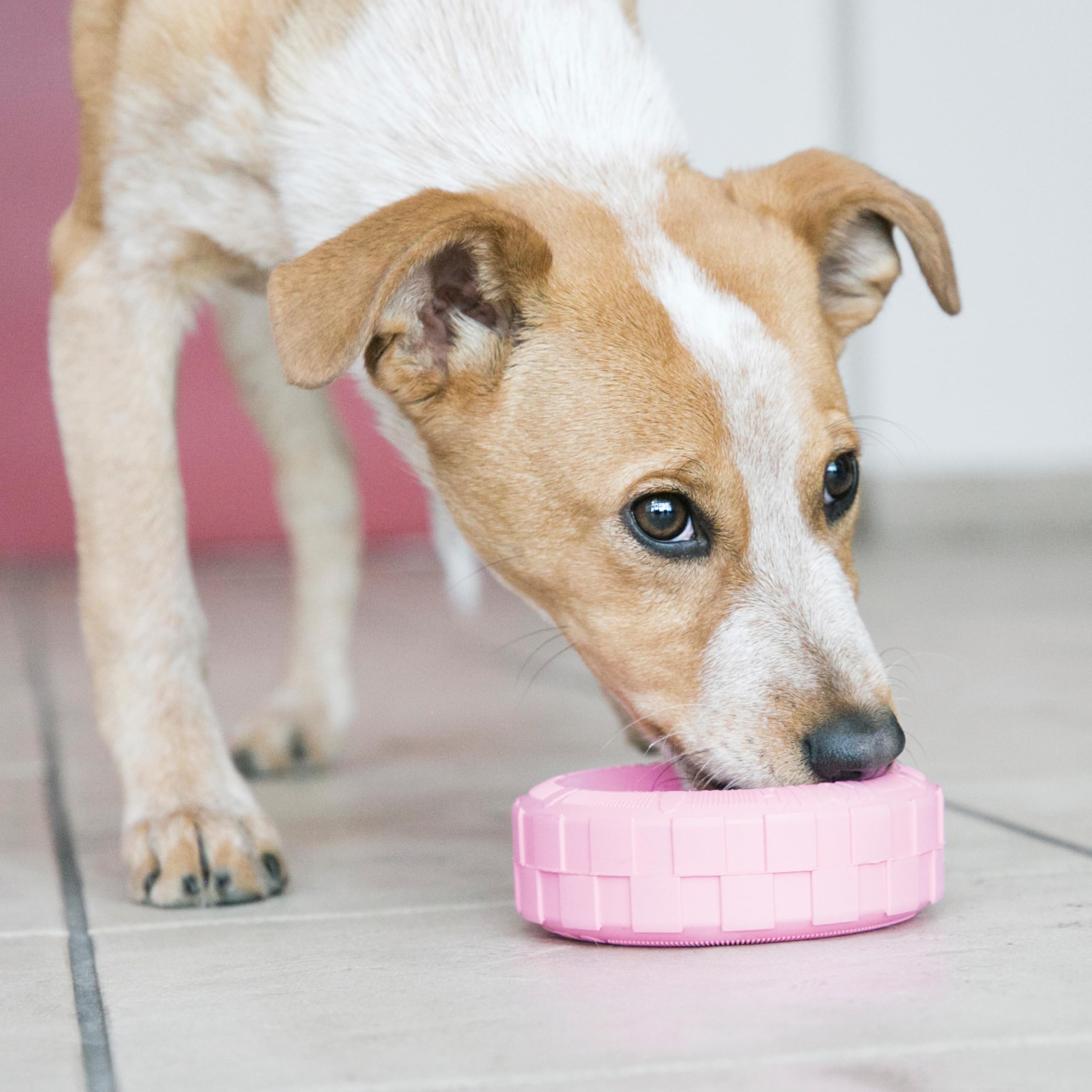 KONG Puppy Tires goma natural, ideal para masticar y calmar molestias de dentición