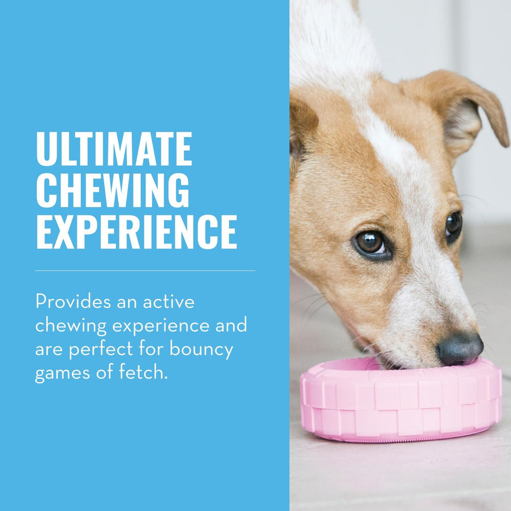 KONG Puppy Tires rellenable, permite premios y estimulación mental durante el juego