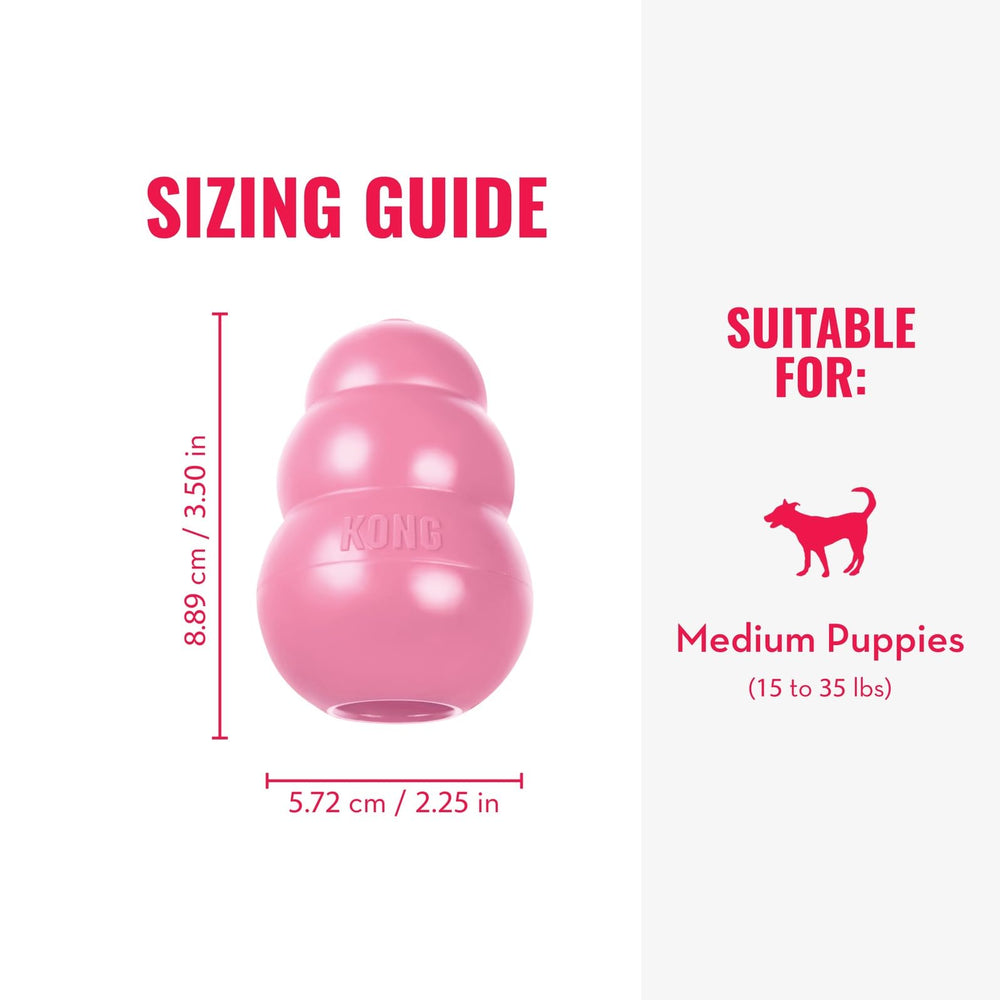 KONG Puppy rempli de friandises pour augmenter l’attention et l’entraînement.