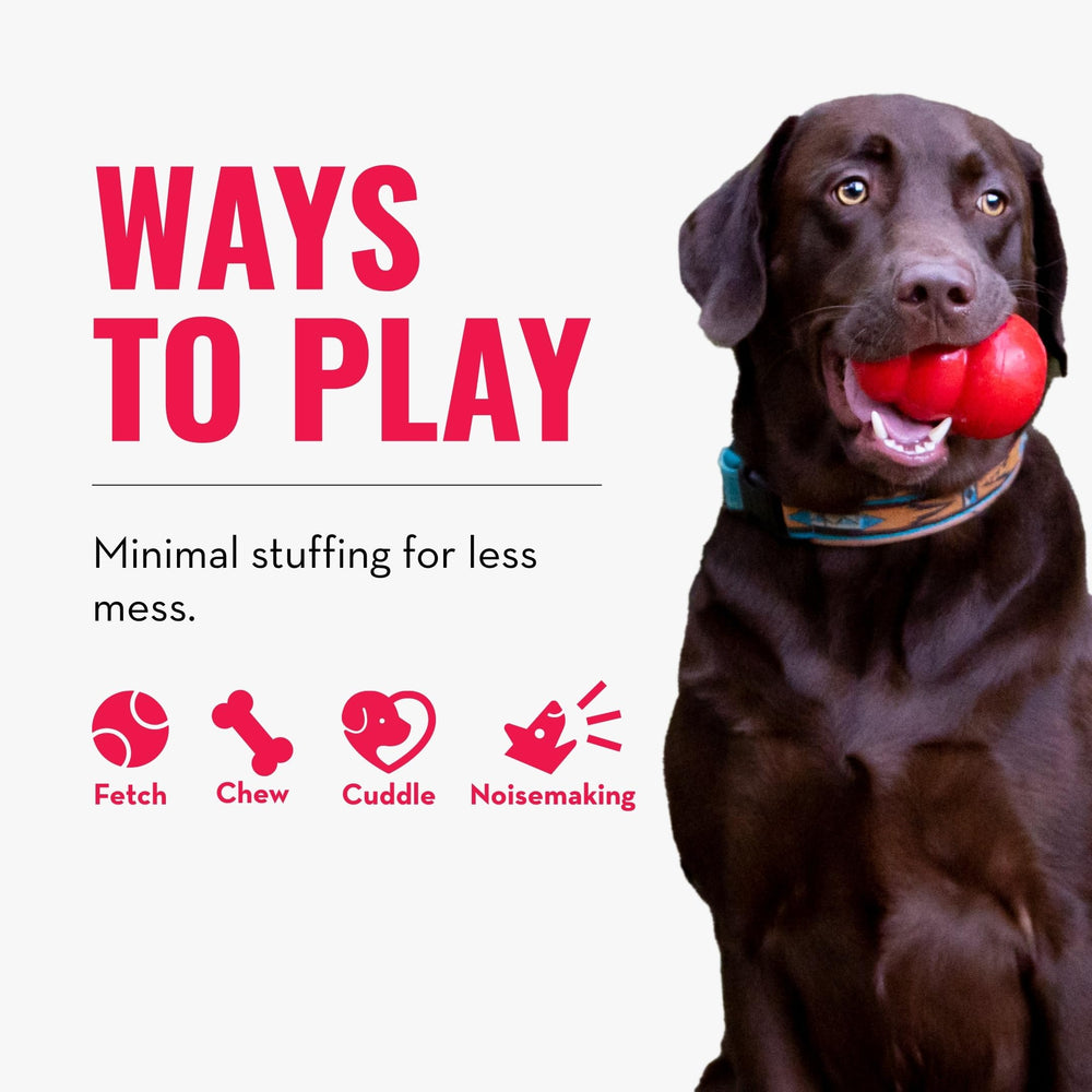 KONG Scrunch Knots Squirrel talla S-M para perros medianos.