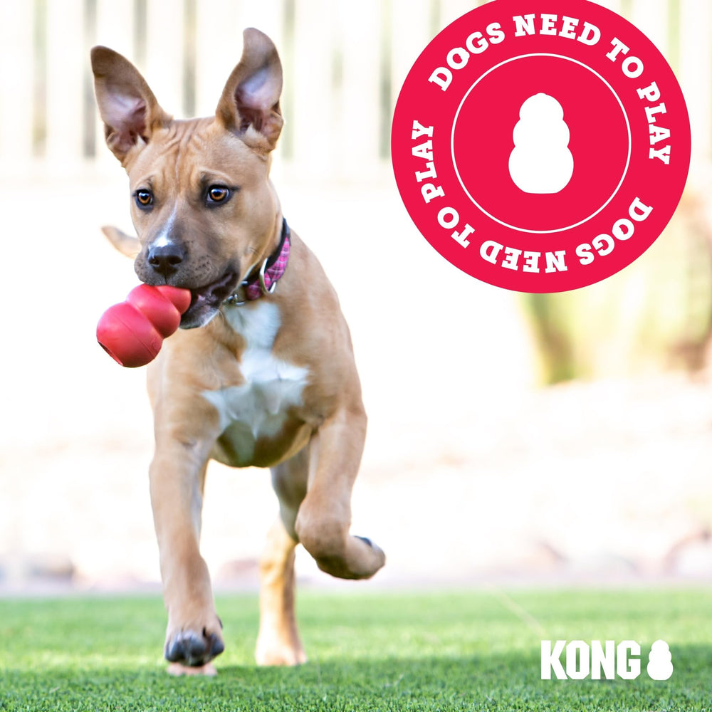 KONG Senior, juguete de mordida suave para mandíbulas sensibles.