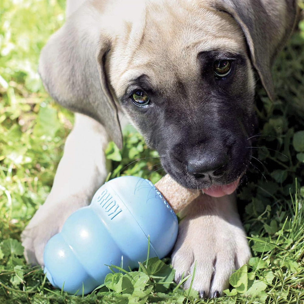 KONG Ziggies Puppy, ideal para rellenar juguetes y extender el juego.
