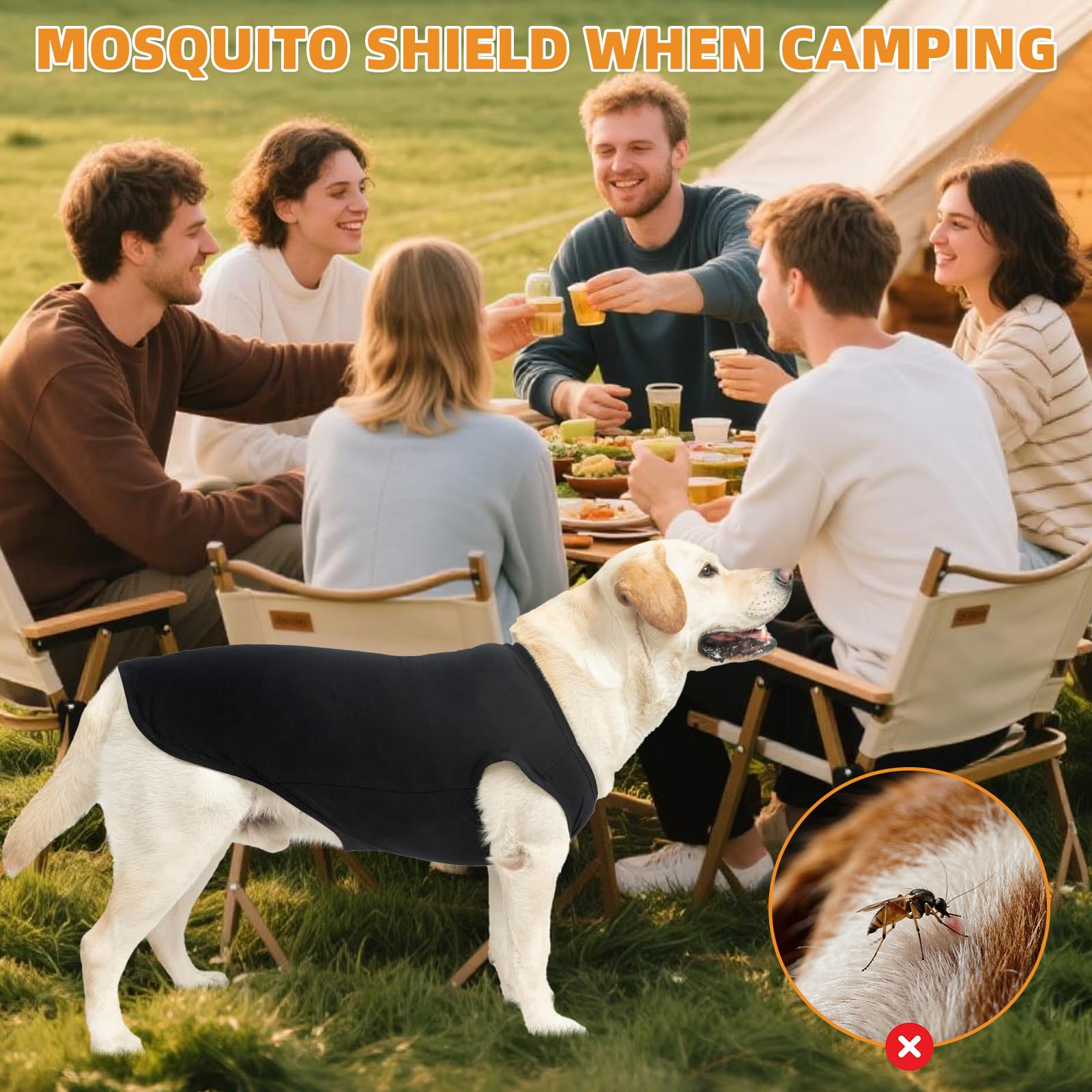 KOOLTAIL pack de dos camisetas, repuesto rápido para perros activos