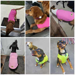 KOOLTAIL camiseta-vest para perro grande vista lateral, cómodo y ligero para paseos