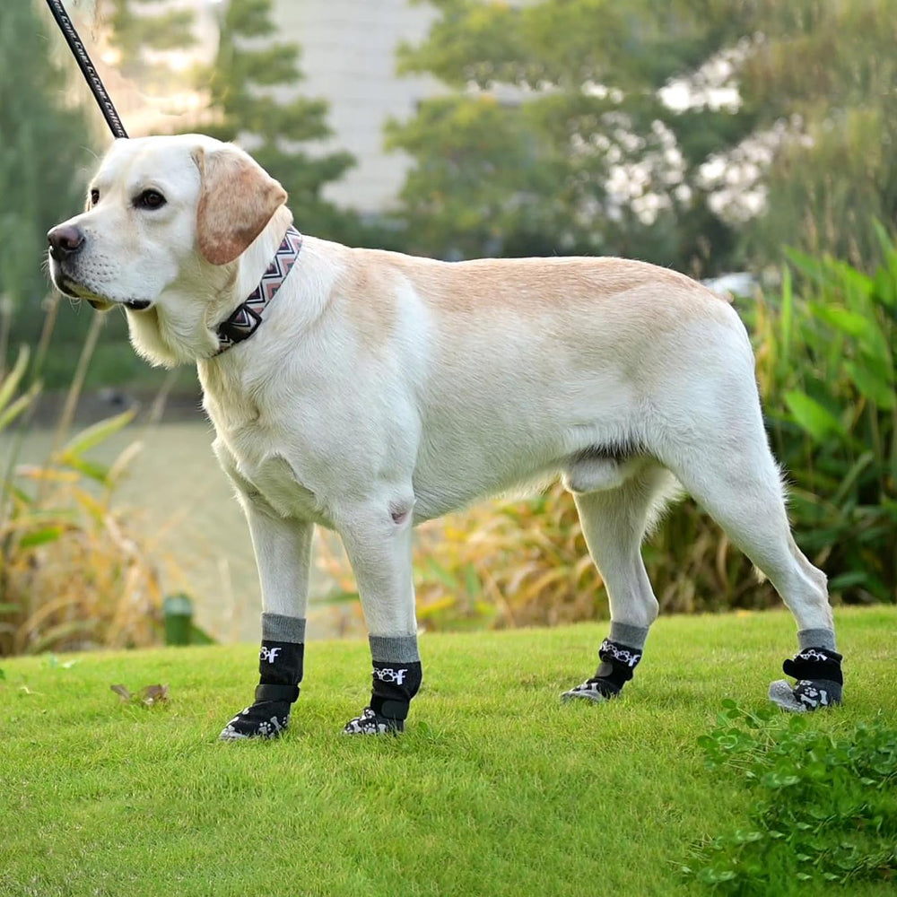 KOOLTAIL protector de patas para hogar, evita arañazos en pisos de madera.