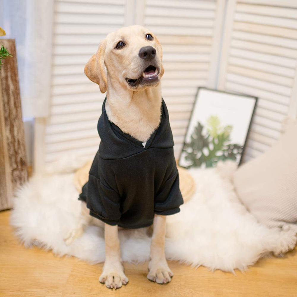 KOOLTAIL sudadera para perro, uso diario, fácil de poner y cuidar