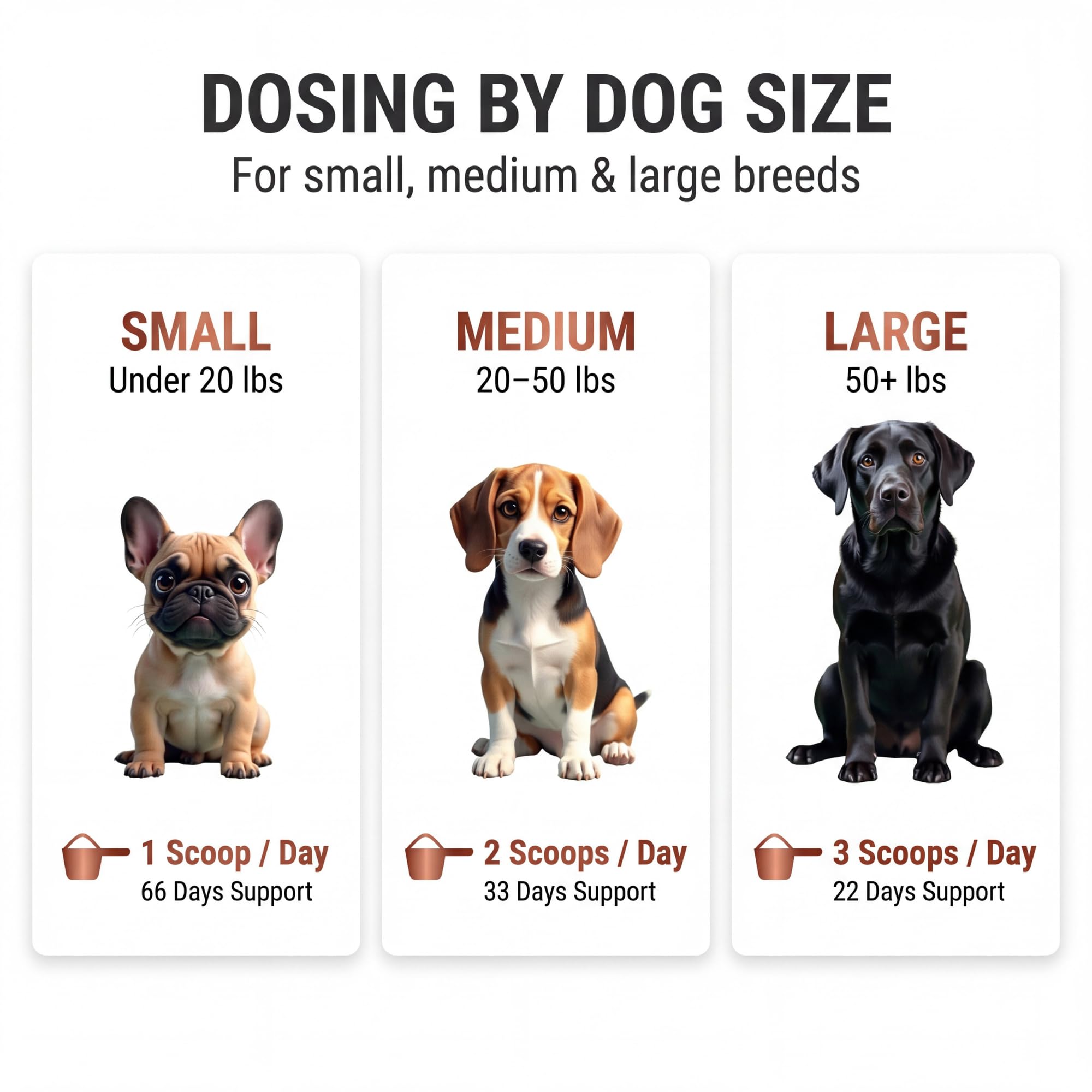 Kopo es apto para cachorros, adultos y mayores