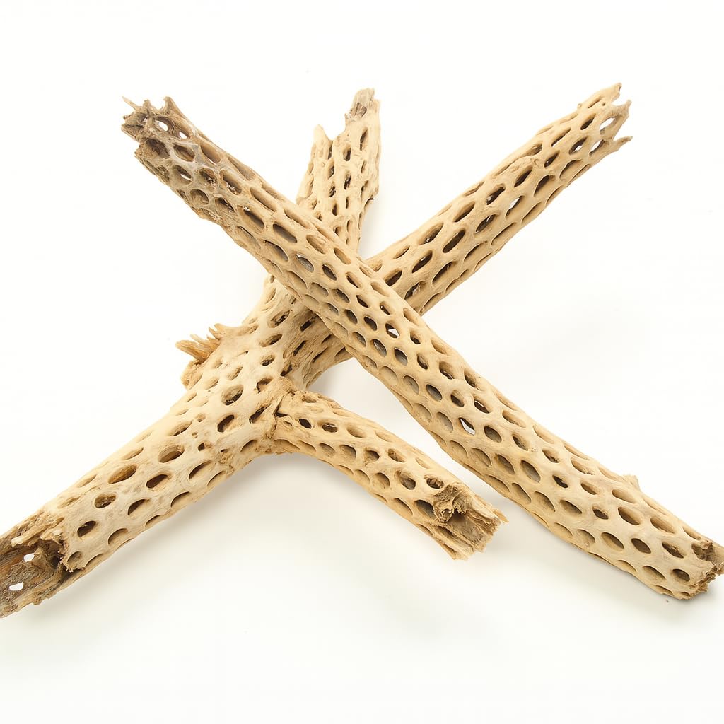 Koyal Wholesale cholla accesorio para cangrejo ermitaño, superficie para trepar.