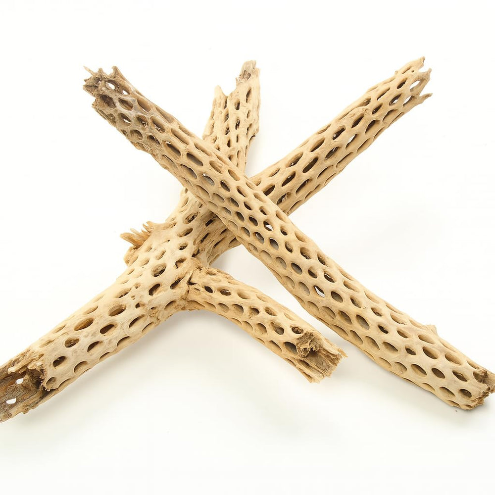 Koyal Wholesale cholla accesorio para cangrejo ermitaño, superficie para trepar.