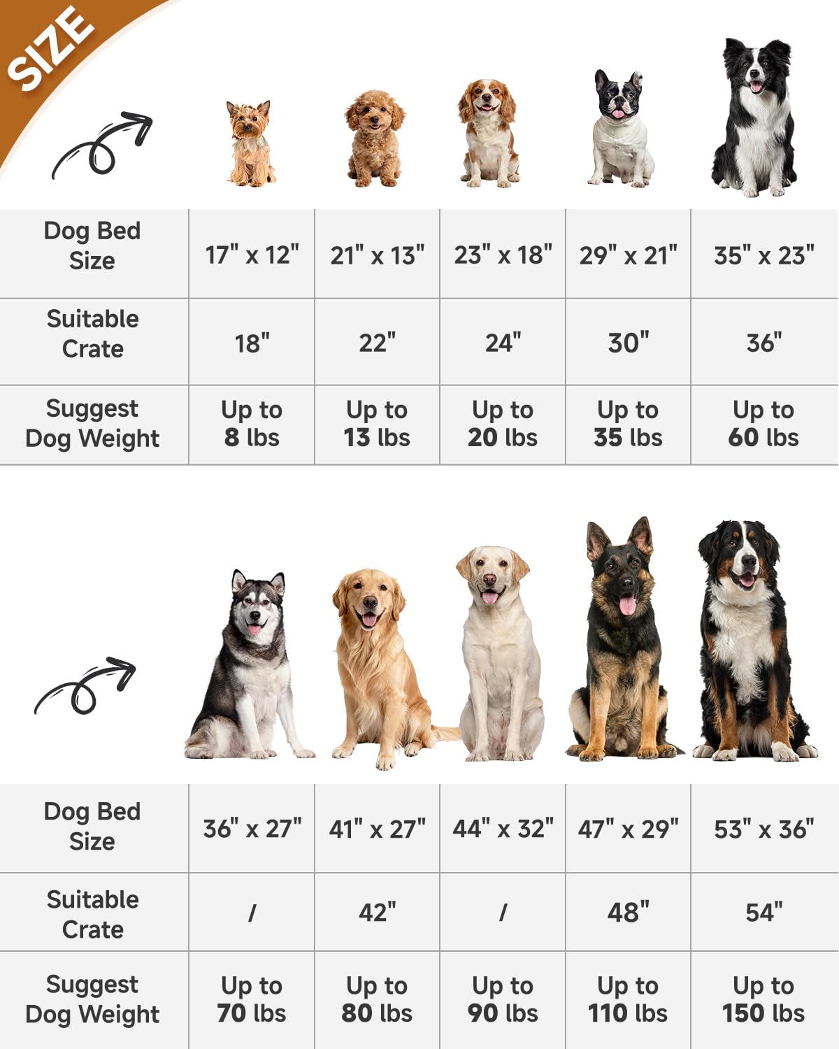 KSIIA dimensiones 47x29, ideal para perros hasta 110 libras.