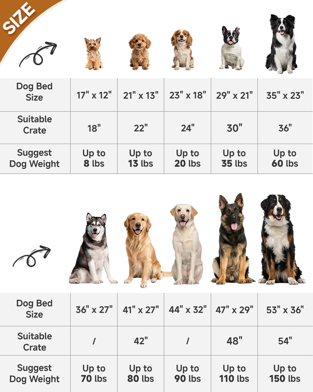 KSIIA cama perro medidas 21x13 pulgadas para perros pequeños a medianos
