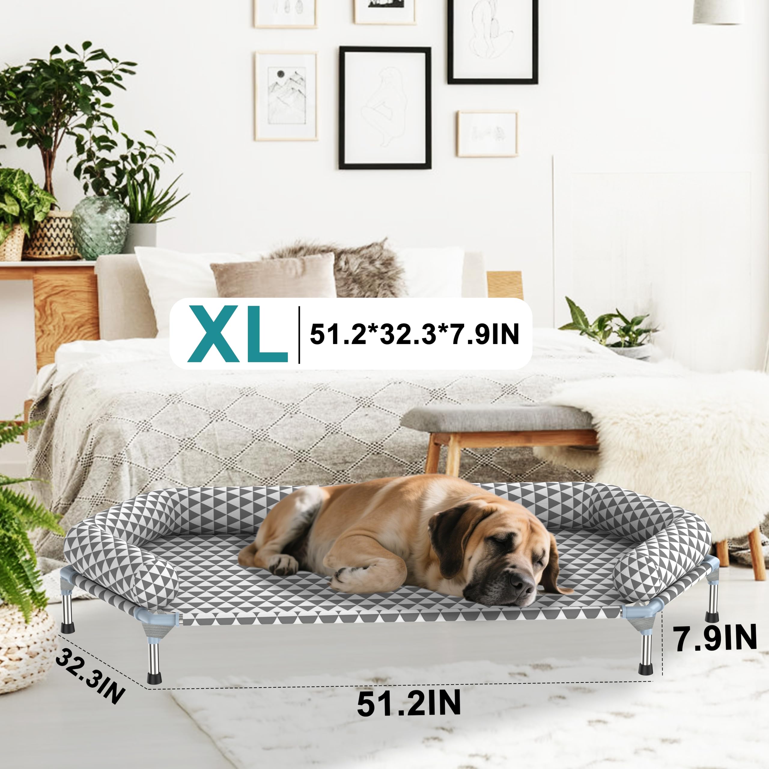 Diseño elevado Kuntrust mantiene al perro lejos del suelo y frío.