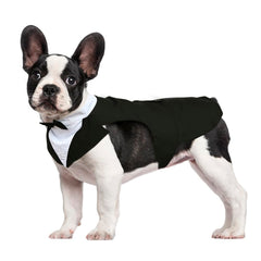 Kuoser traje para perro tuxedo en vista frontal, ideal para bodas