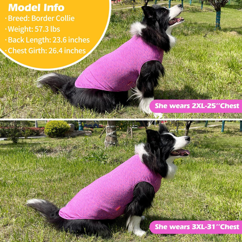 Camisetas KYEESE en morado y rosa para estilo y confort.