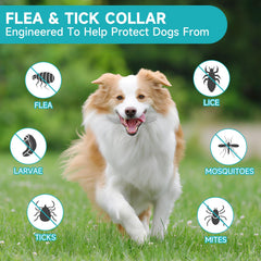 KYGNE collar garrapatas para perros impermeable, ideal para paseos con lluvia.