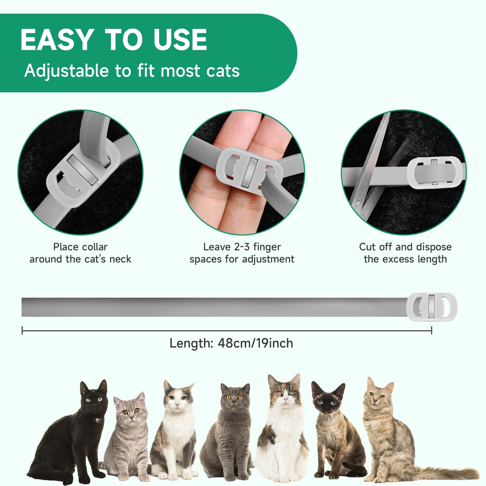 Paquete de cuatro collares KYGNE antipulgas para gatos