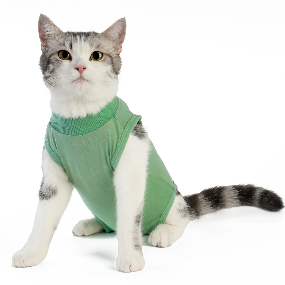kzrfojy combinaison rétablissement chat verte — vue avant, port confortable post-chirurgie
