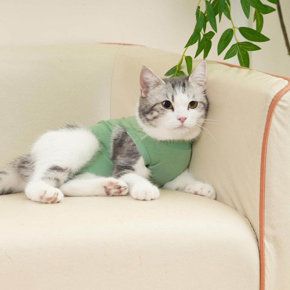 kzrfojy combinaison rétablissement chat verte — contact doux et confort quotidien