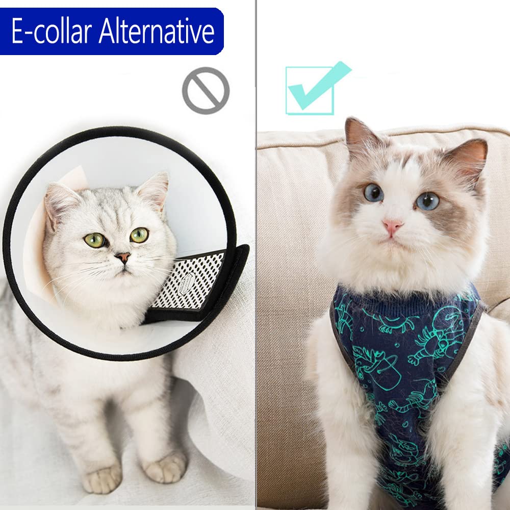 Kzrfojy guide-tailles-chat-s-m-l: choix précis