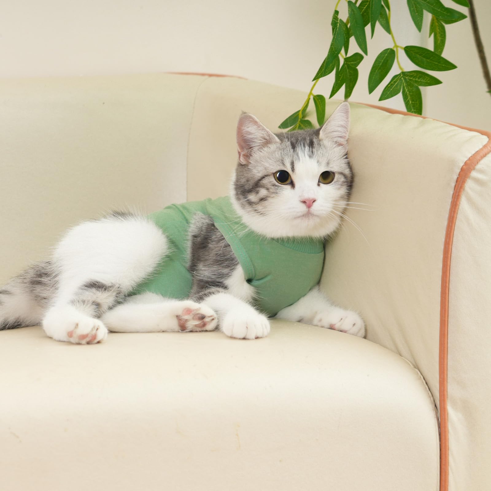 kzrfojy mono postoperatorio para gatos, evita lamidos sin limitar juego