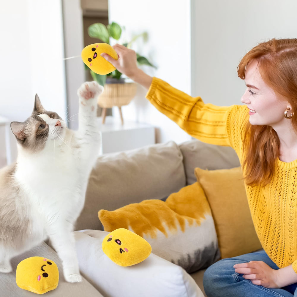 L1rabe Nuggets con hierba gatera: caja regalo incluida para regalo de gatitos.