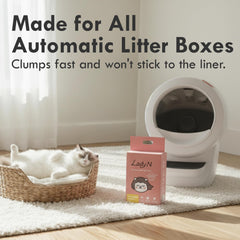 Lady N, caja-litter-en-uso, entrenamiento práctico para gatos