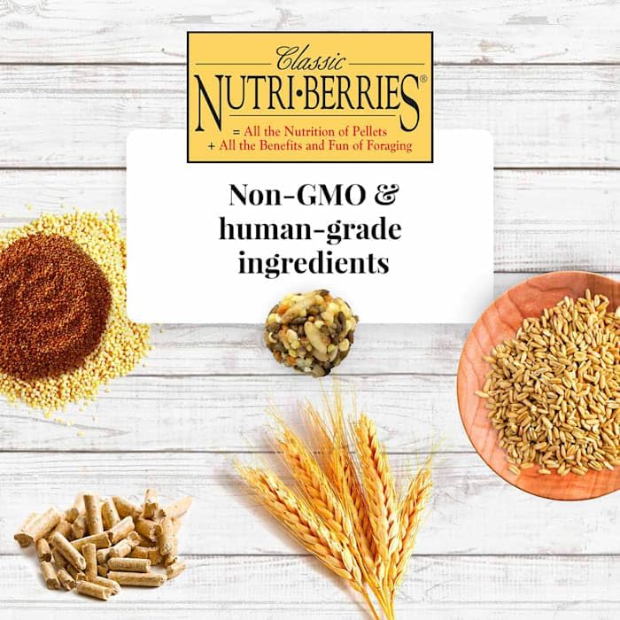 LAFEBER'S Nutri-Berries ingredientes de grado humano y sin aditivos artificiales para aves.