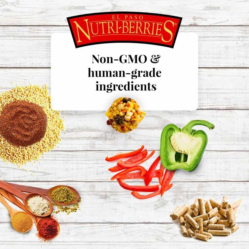 LAFEBER'S El Paso Nutri-Berries forma redonda que estimula el pico y la exploración.