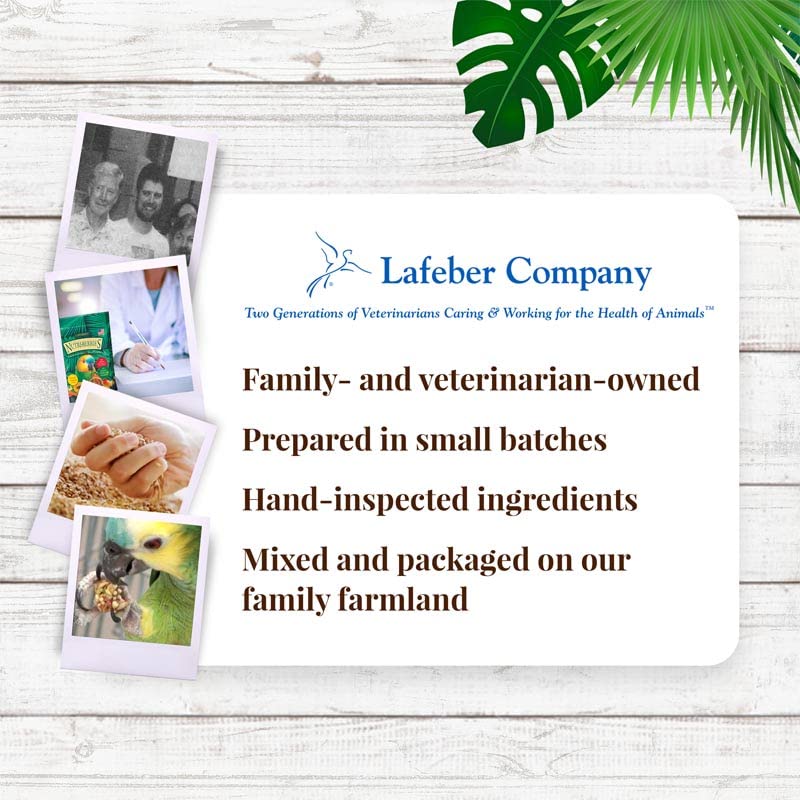 LAFEBER'S Fruta Tropical Nutri-Berries ingredientes de grado humano para pajaros