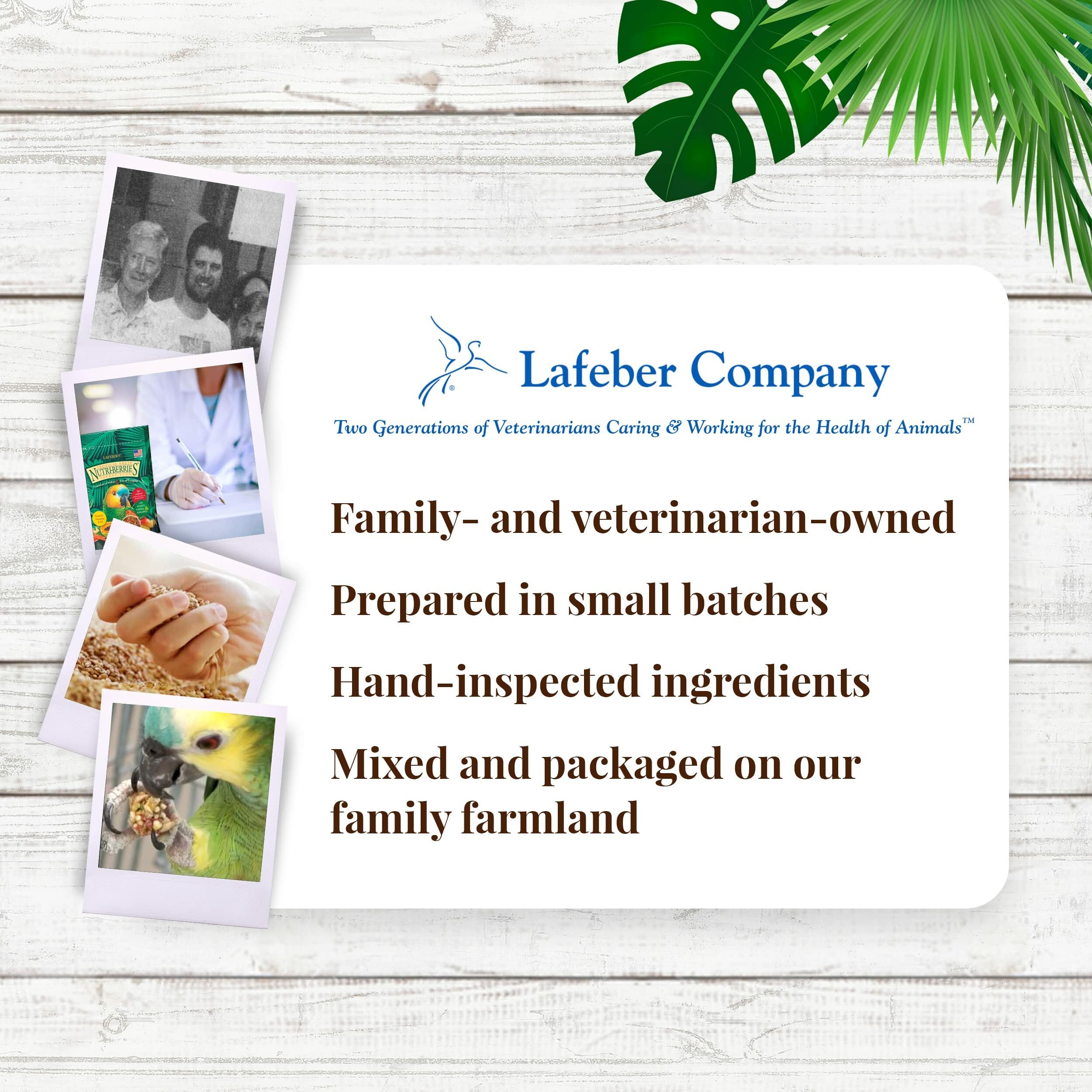 LAFEBER'S Nutri-Berries ofrece forraje enriquecido y sabor natural