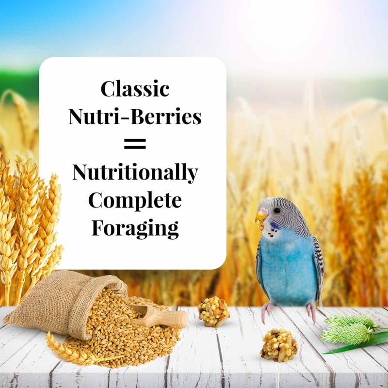 LAFEBER'S Nutri-Berries, formato circular para mayor estímulo de forrajeo.