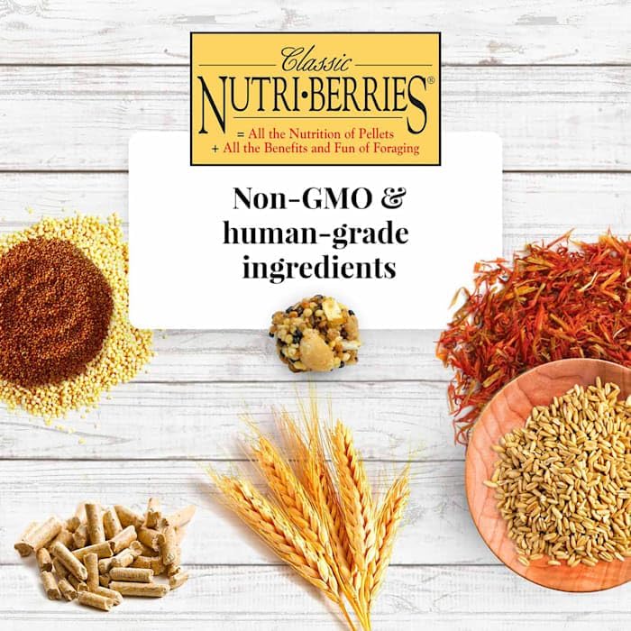Nutri-Berries favorece el forraje y el juego del pico, ideal para loros curiosos