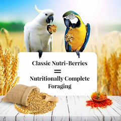 Nutri-Berries sin colorantes artificiales para una alimentación más natural