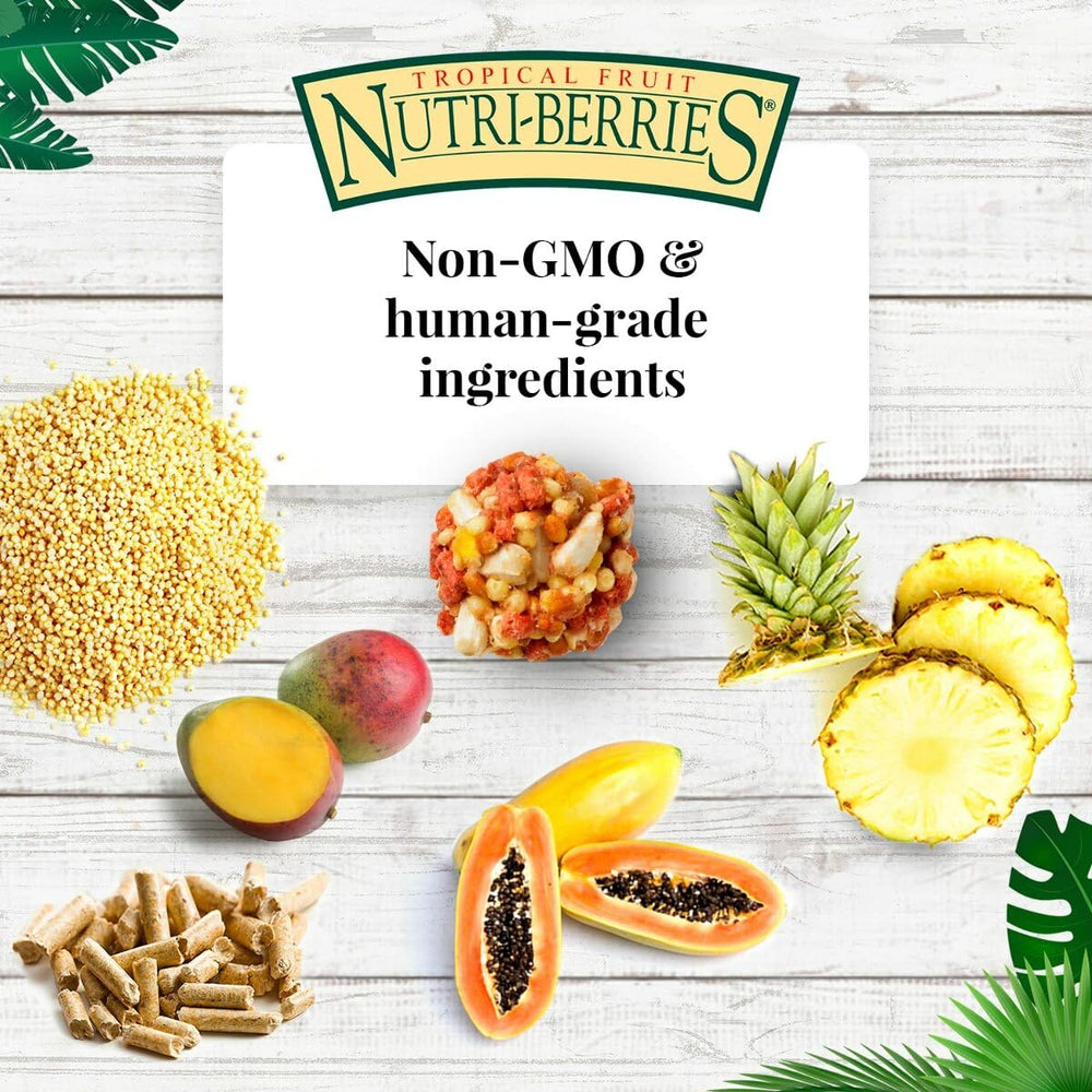 LAFEBER'S Nutri-Berries sin OGM ni colorantes artificiales