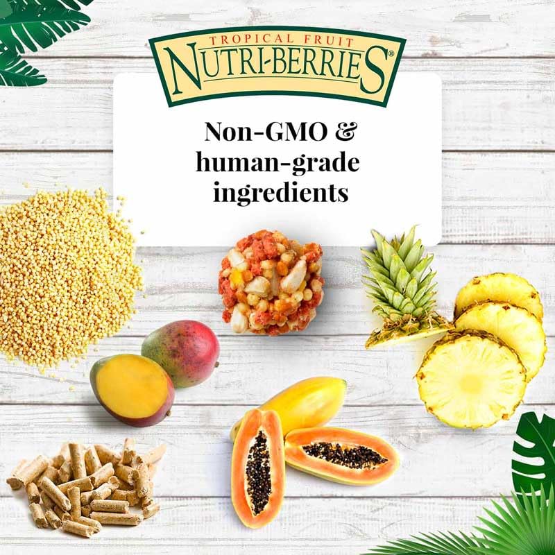 LAFEBER'S Nutri-Berries ricos en antioxidantes y Omega 3 y 6 para plumaje