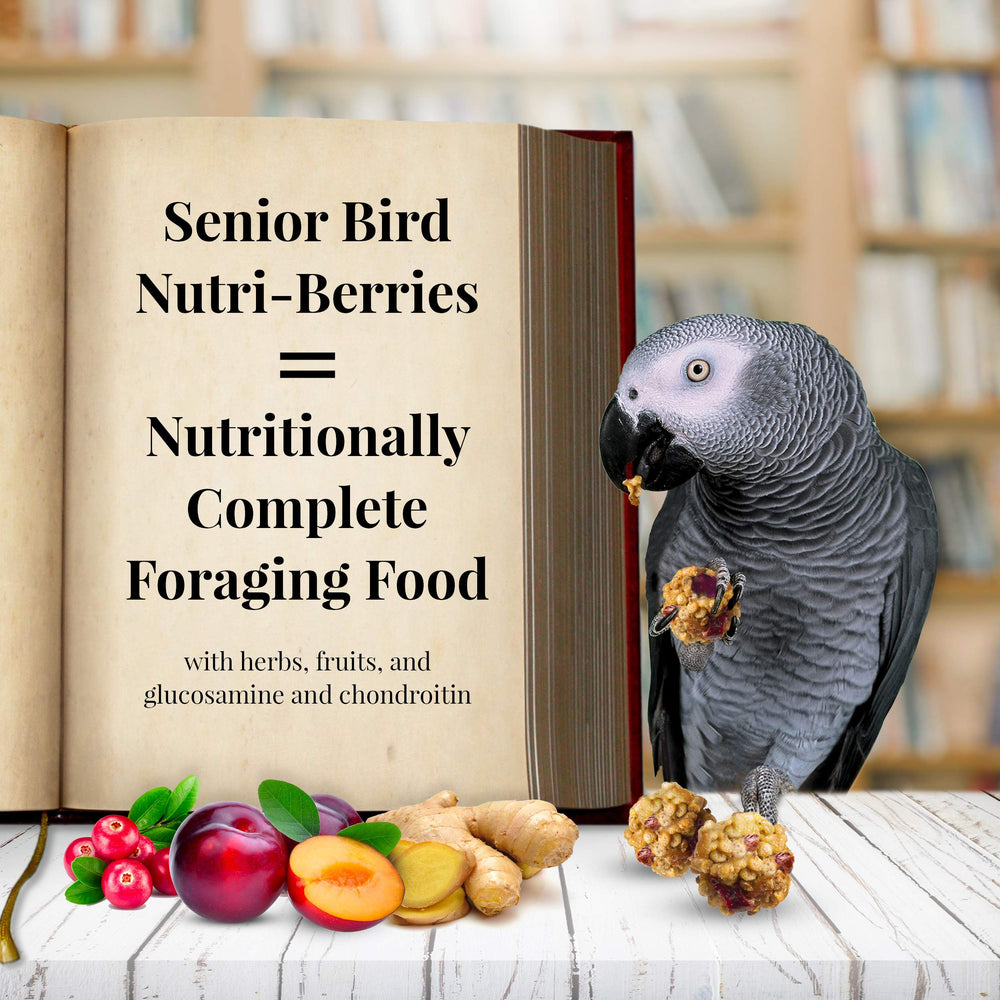 LAFEBER'S Senior Bird Nutri-Berries, bolas redondas para juego y estimulación del pico.