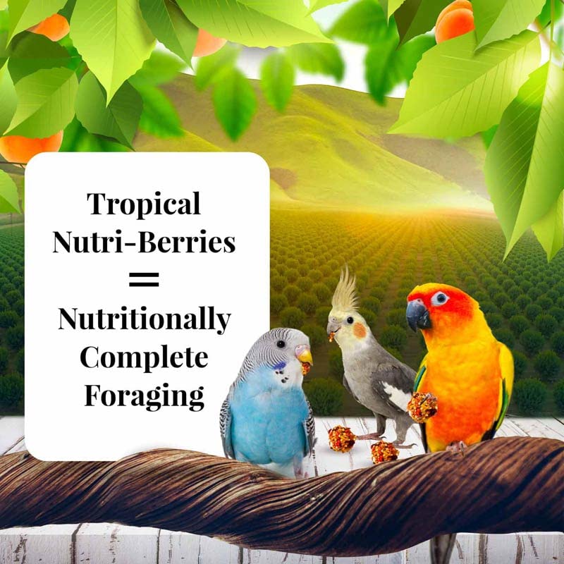 Nutri-Berries de LAFEBER'S Sunny Orchard, ingredientes-frutas reales para sabor auténtico.