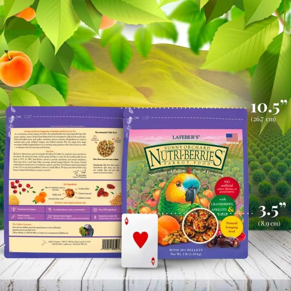 Trozos de arándanos en Nutri-Berries para plumaje saludable