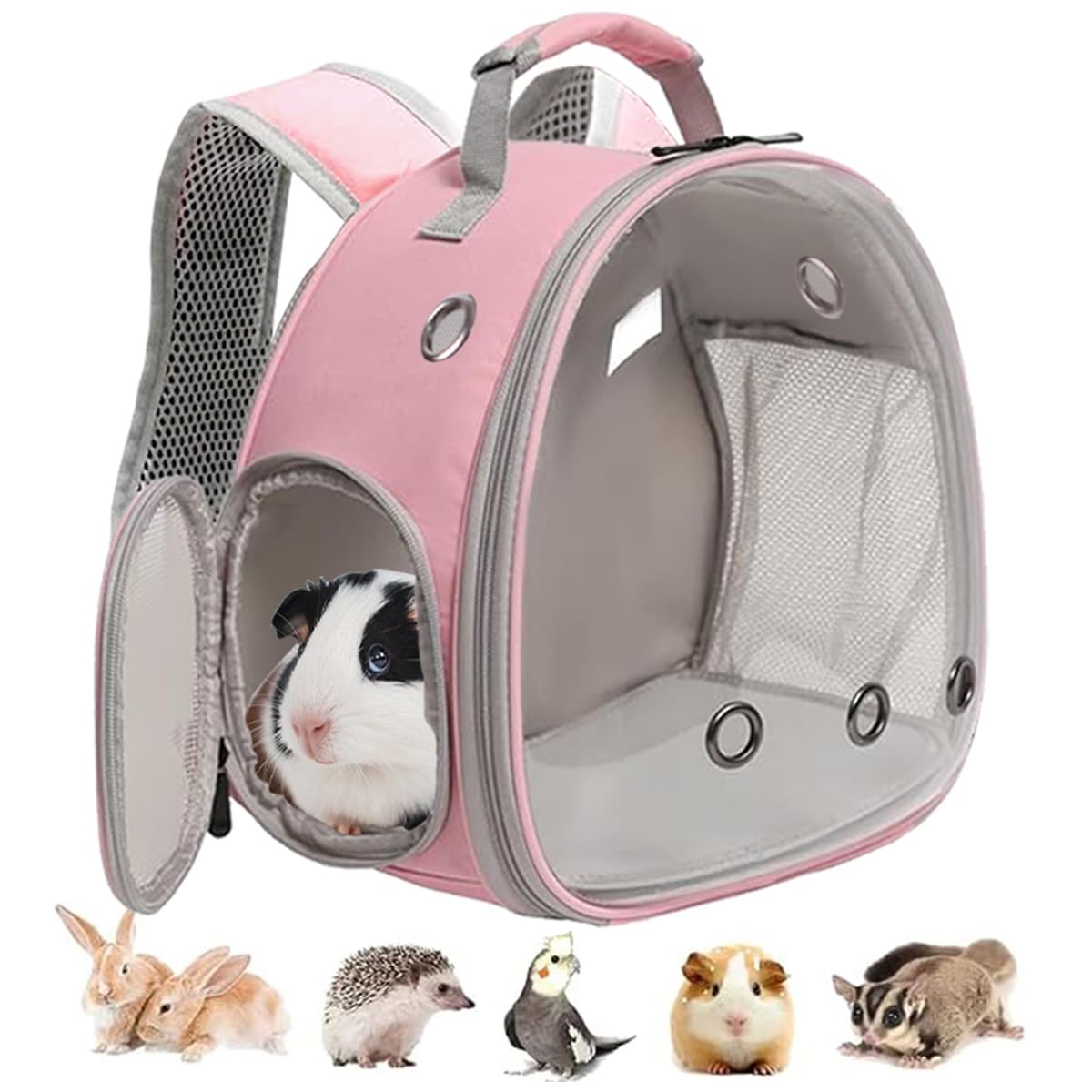 LAIRIES portador para cobayas con ventana burbuja transparente para ver a tu mascota