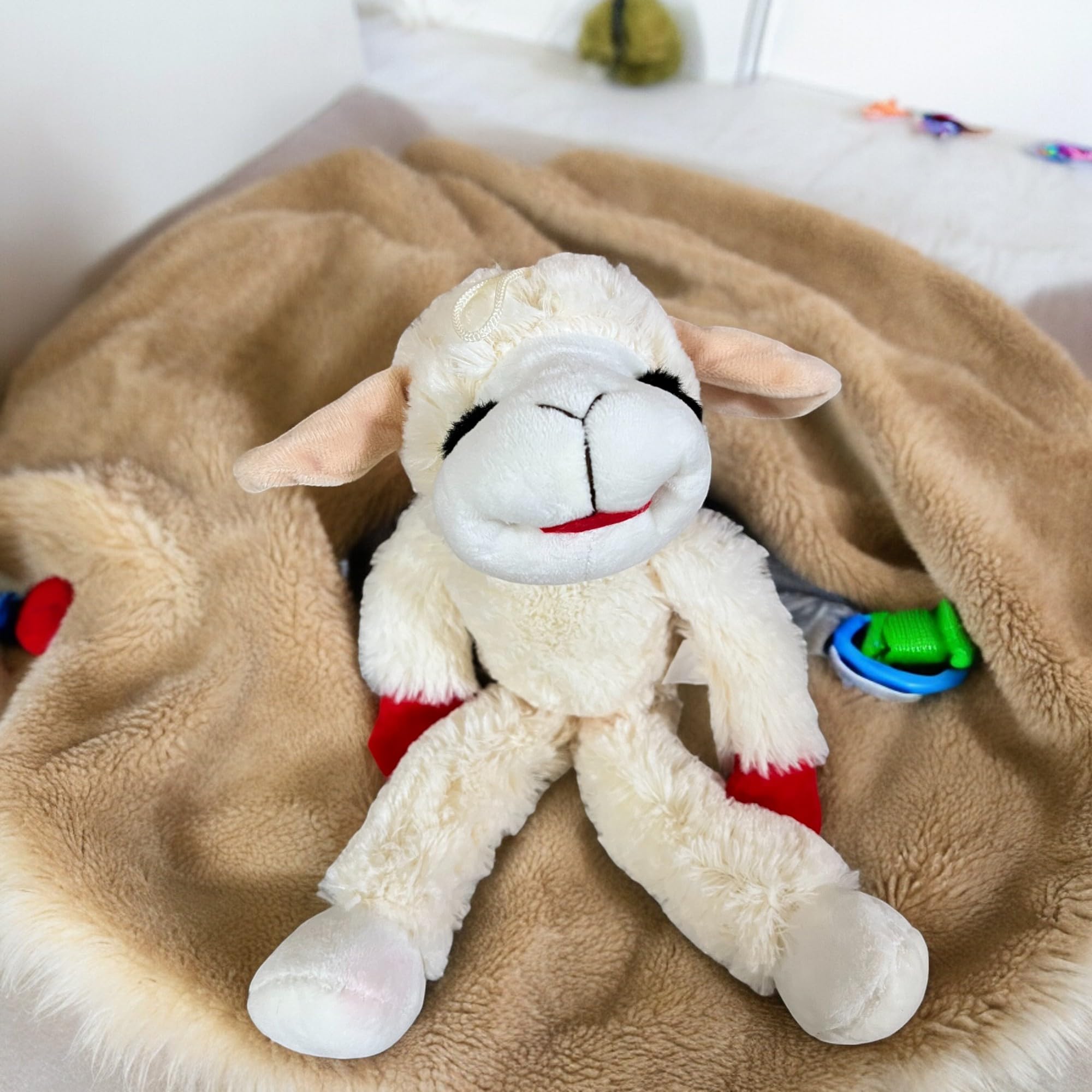 Lamb Chop muestra la textura exterior suave para mimos.