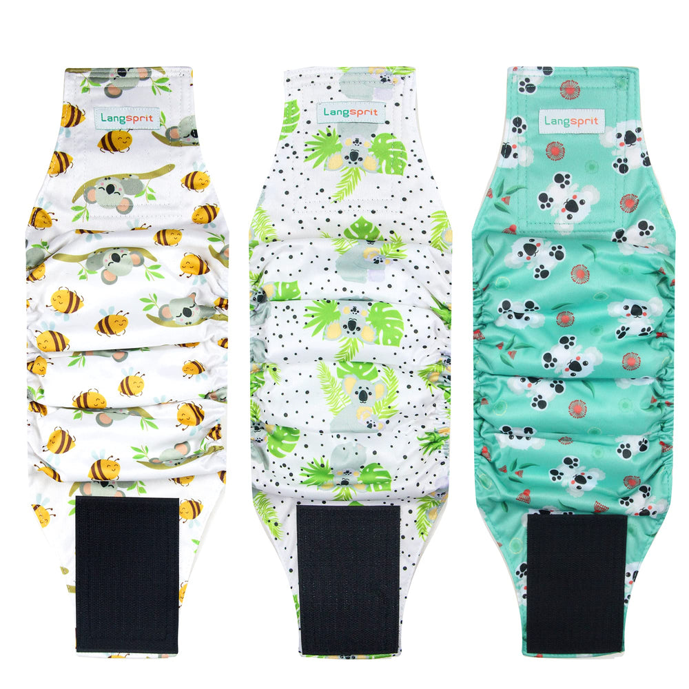 Langsprit: bandes ventrales mâles pour chien, ensemble de 3, Koala petit, pratique et économique.