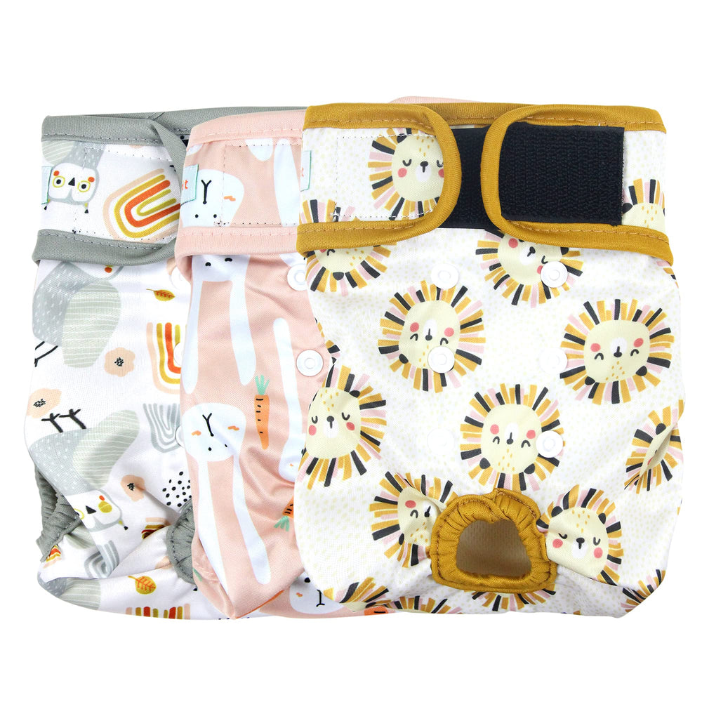 Langsprit protections femelles chien Pack 3 — protection fiable en déplacement.