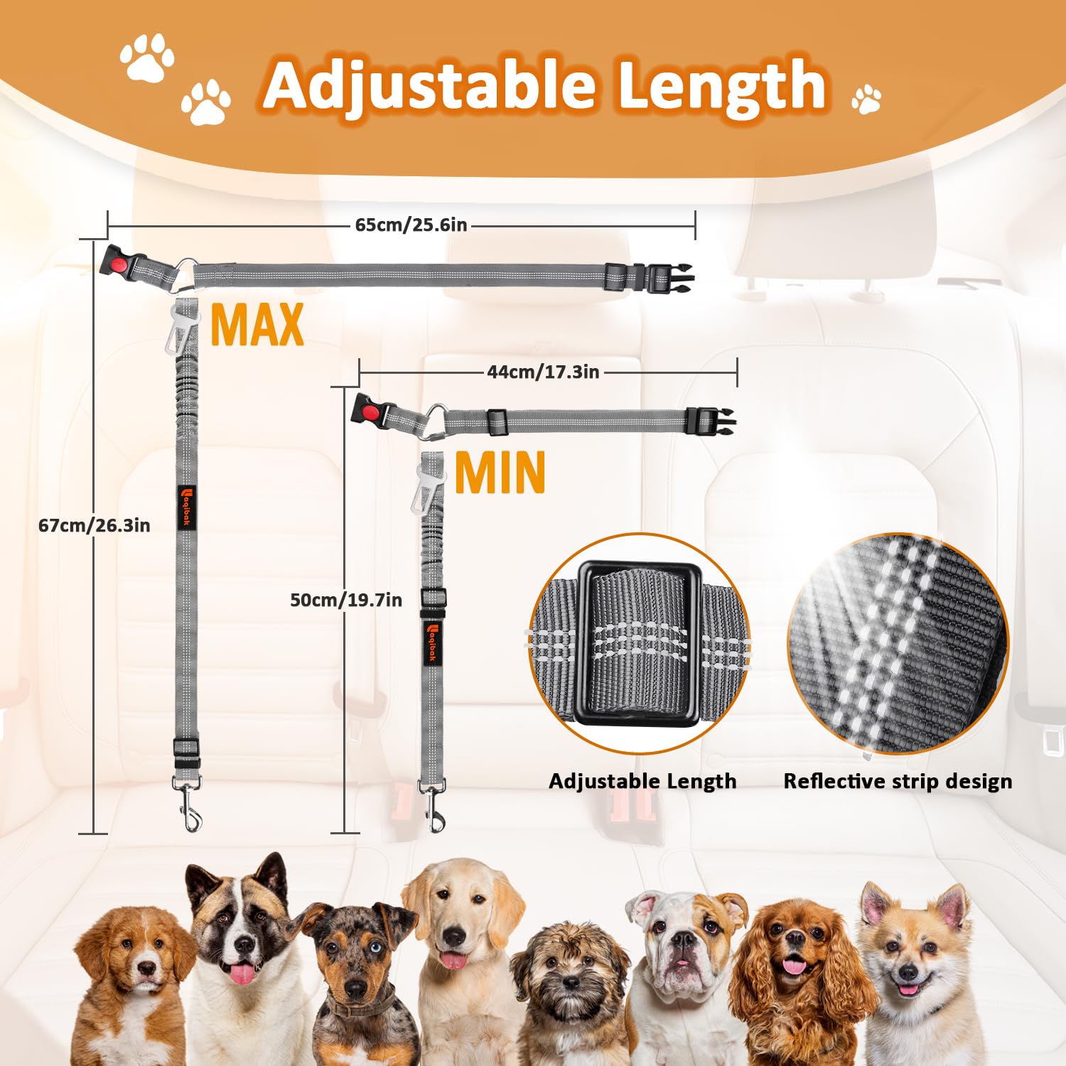 Regalo ideal para amantes de mascotas para viajes y paseos