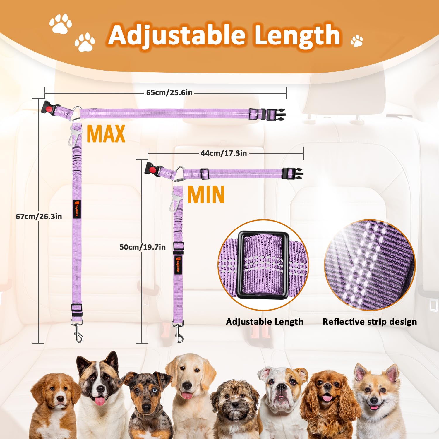 Regalo ideal Laqibak para dueños de mascotas que viajan.