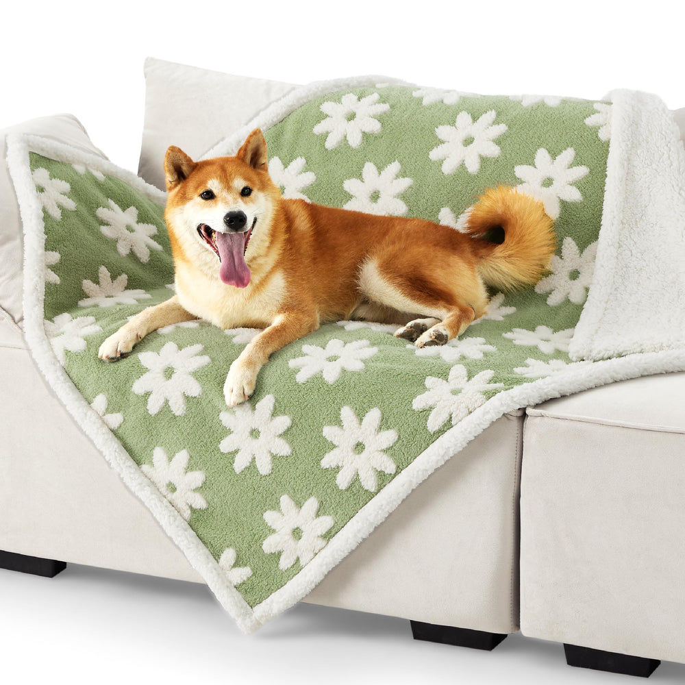 Manta LE SURE ligera, perfecta para viajes con mascotas.