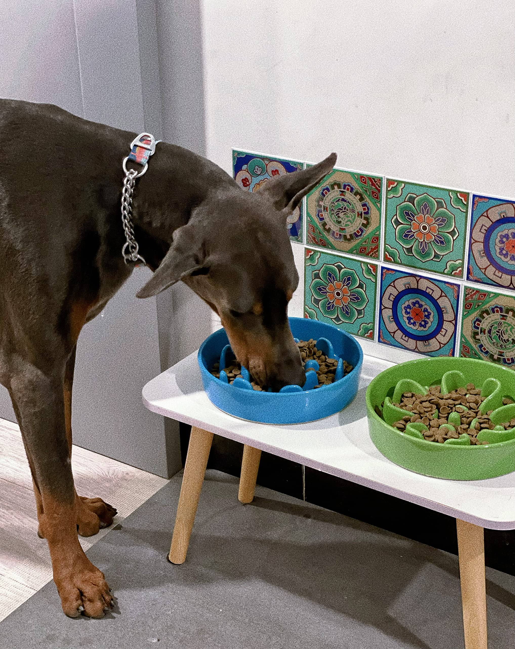 LE TAUCI perfecto para evitar atracones en perros con dietas mixtas.