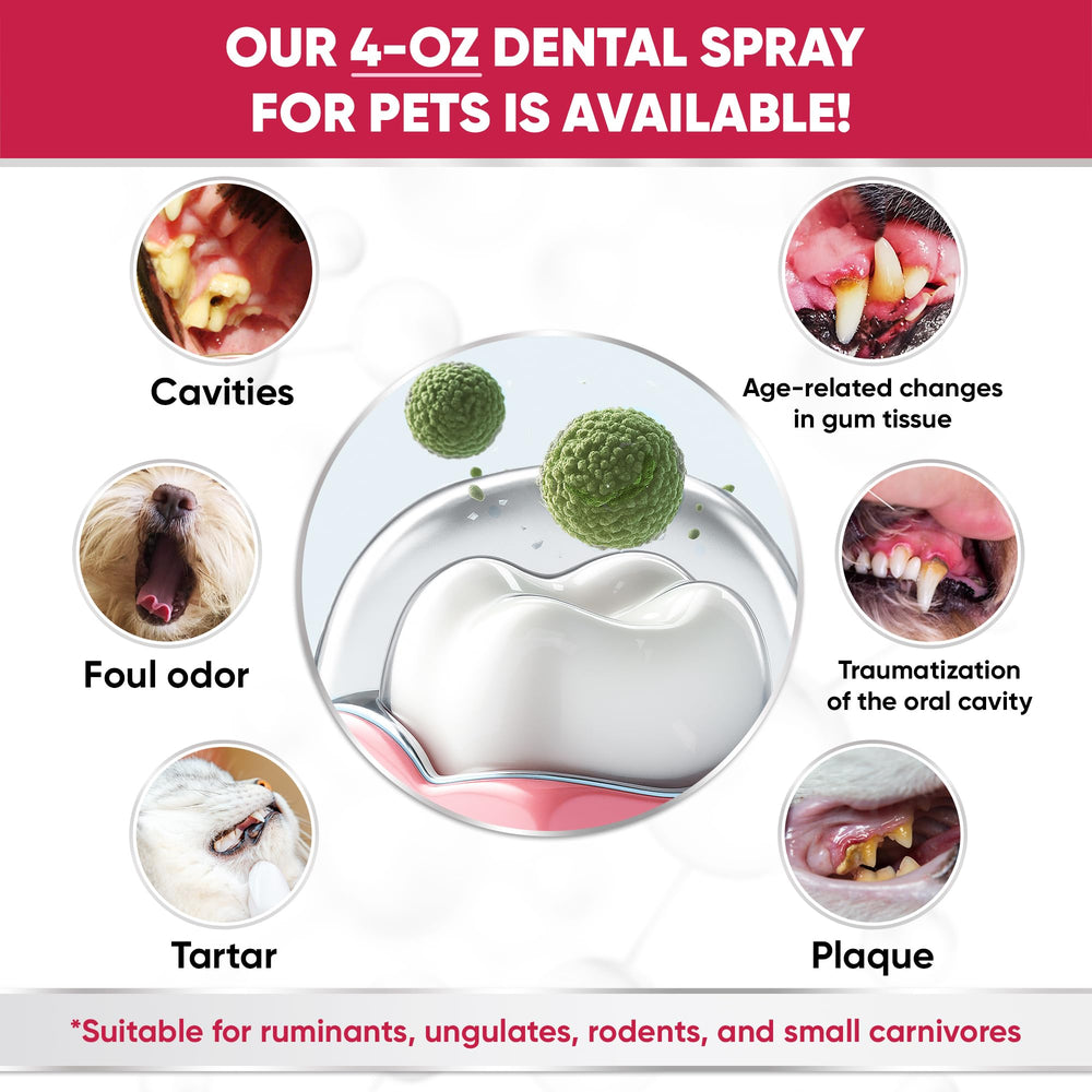 LeAcademic spray dental aliento gatos, aroma suave que refresca el aliento.